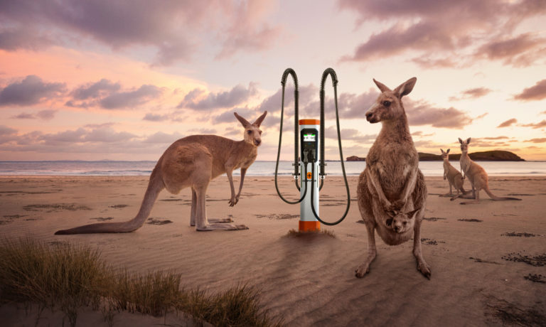 Australia EV chargers, kangaroos