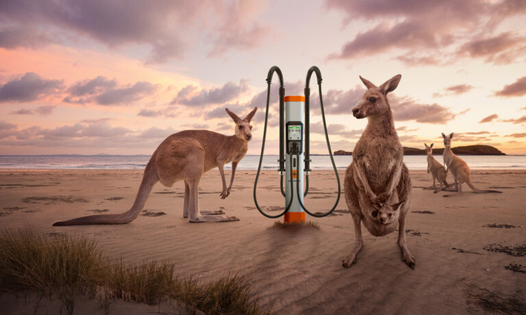 Australia, Queensland, Cape Hillsbourgh, Kangaroo (Macropus) on beach at sunset with Kempower chargers